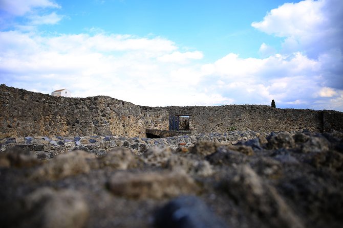 Private Half-Day Tour of The Pompeii Ruins Highlights and Mann - Who should book this Pompeii + museum combo