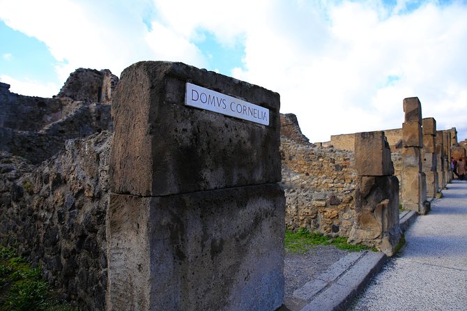 Private Half-Day Tour of The Pompeii Ruins Highlights and Mann - Pompeii Archaeological Park: highlights you can actually absorb