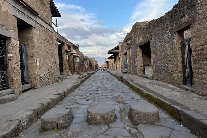 Private Half Day Tour to the Ruins of Pompeii - Should You Book This Private Half Day Pompeii Tour?