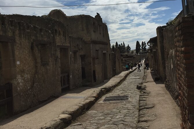 Private Herculaneum Tour for Kids and Families - Price and value: what $181.74 per person is really buying