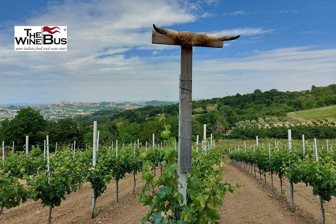 Private Irpinia Wine Tour from NAPLES with sommelier - Lunch in Montemiletto: plan it like a grown-up