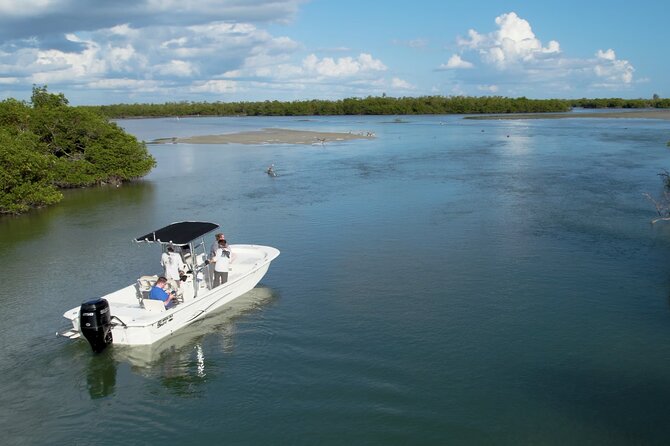 Private Marco Island / 10,000 Islands Sightseeing & Dolphin Tour - Quick takeaways before you book