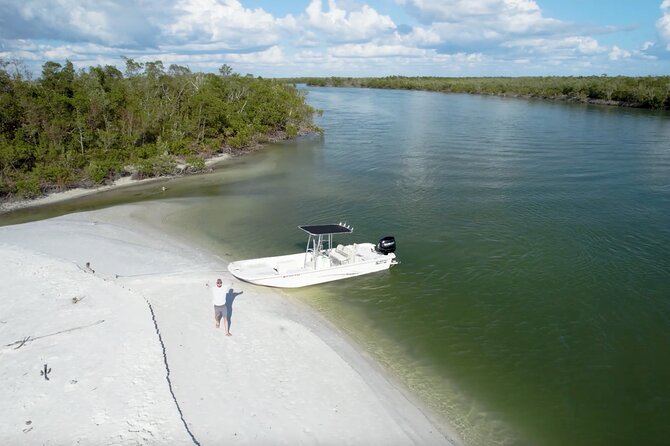 Private Marco Island / 10,000 Islands Sightseeing & Dolphin Tour - The mangrove refuge stop: dolphins, shells, and the real ecosystem vibe