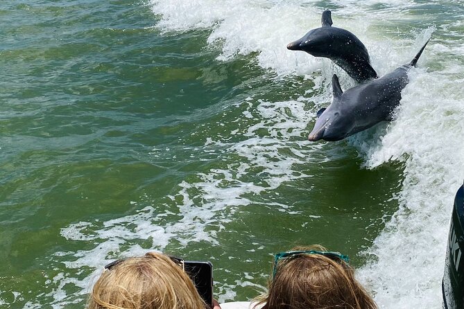 Private Marco Island / 10,000 Islands Sightseeing & Dolphin Tour - What to bring (and what you can skip)