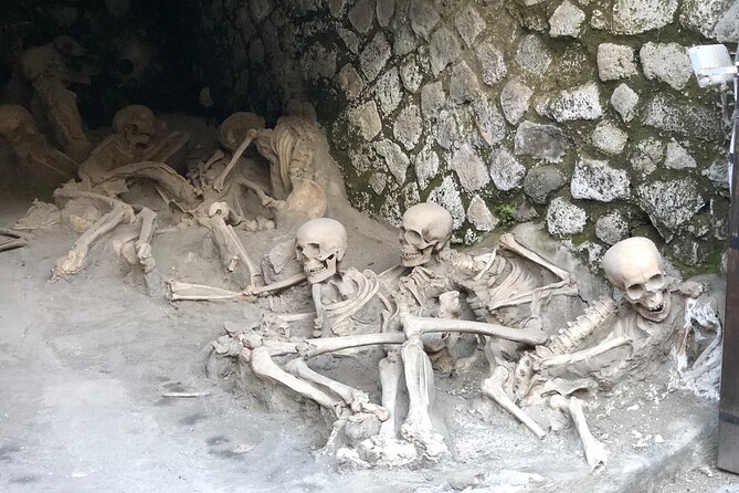 Private Pompeii and Herculaneum with Wine Tasting - Full Tickets - Comfort and Transport: The Mercedes Van Pickup That Saves Time