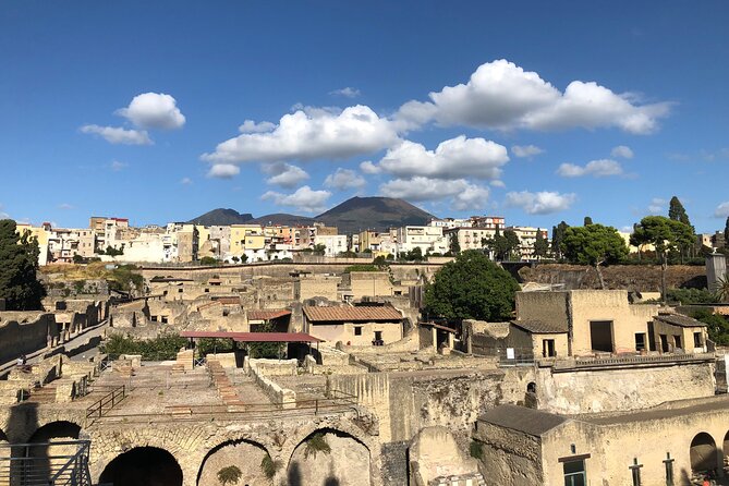 Private Pompeii and Herculaneum with Wine Tasting - Full Tickets - Cantina del Vesuvio Winery: The Optional Lunch and Lacryma Christi