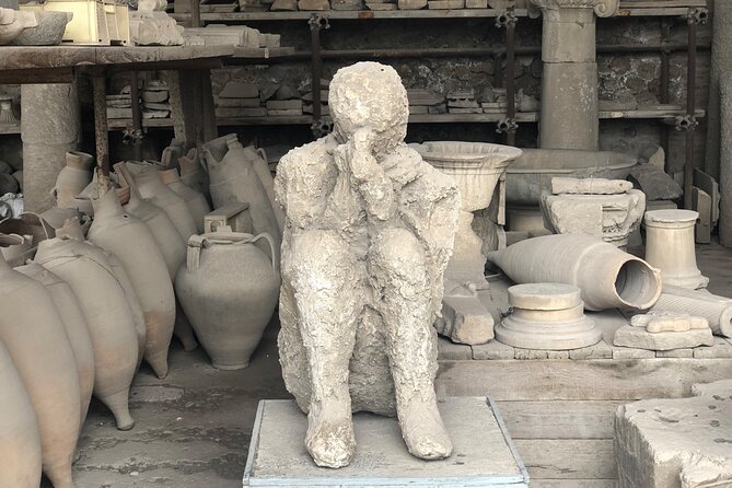 Private Pompeii and Herculaneum with Wine Tasting - Full Tickets - Mount Vesuvius Photo Ops Without the Crater Drive
