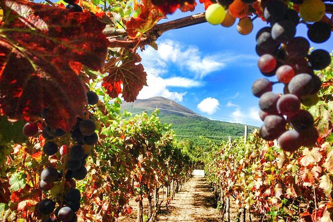 Private Pompeii and Vesuvius with Wine Tasting and Full Tickets - Who this tour fits best (and who should think twice)