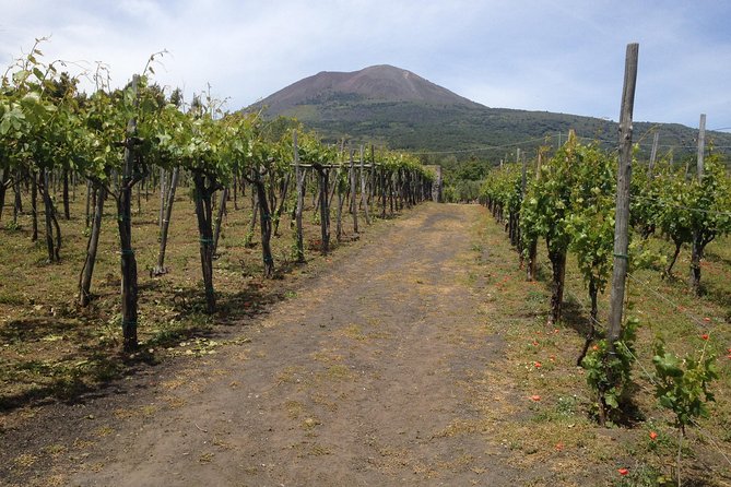 Private Pompeii, Herculaneum and Winery Tour from Naples - Why This Pompeii and Herculaneum Combo Works in One Day