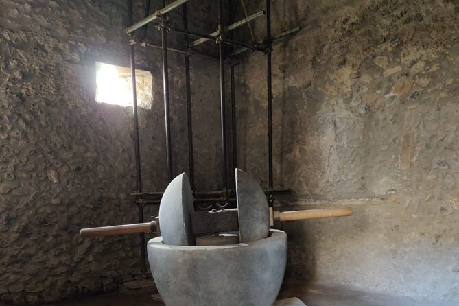 Private Pompeii Tour with Fast-Entrance Tickets to the Ruins & Exclusive Guide - Who this Pompeii tour is best for