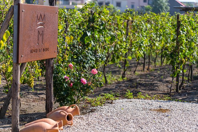 Private Pompeii Tour with Organic Wine Tasting & Lunch - Pompeii Archaeological Park: How Two Hours Actually Feels