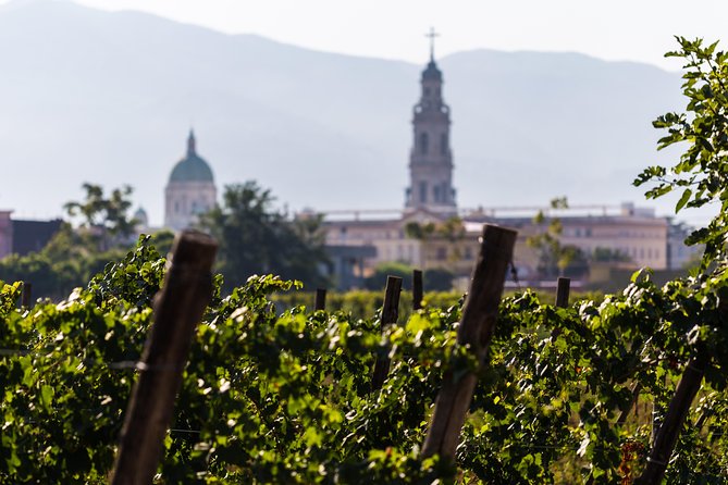 Private Pompeii Tour with Organic Wine Tasting & Lunch - Timing Tips for a 9:30am Start and Hot Weather