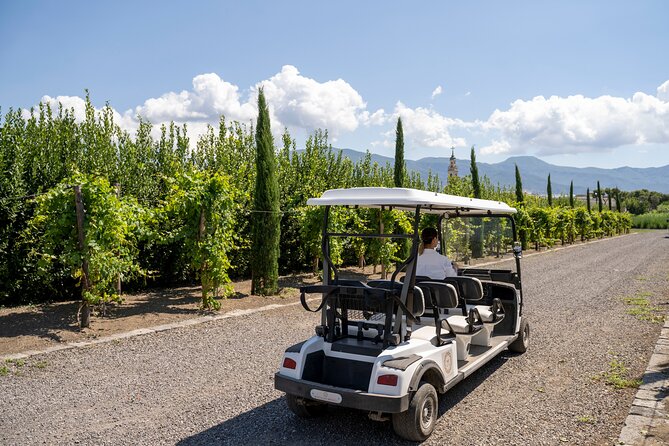 Private Pompeii Tour with Organic Wine Tasting & Lunch - Who Should Book This Pompeii + Organic Wine Tour?
