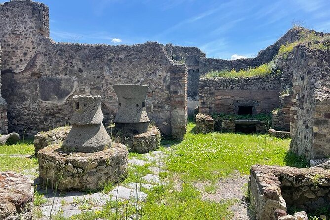 Private Skip The Line Archeo Tour Of Pompeii - Temple of Apollo, basilica, and the city’s formal “stage”