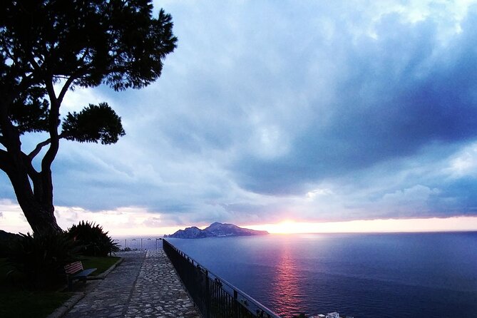 Private Sorrento, Positano and Pompei Tour - Vesuvius Mountain: what to expect from a viewpoint stop