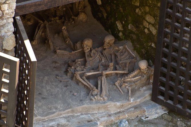 Private Tour: Day Trip Excursion to Herculaneum, Positano and Sorrento - Key things to know before you go
