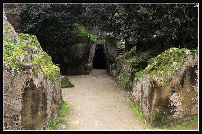 Private Tour from Naples to Phlegrean Fields, Pozzuoli, and Cuma - Flavio Amphitheatre and Museum Stop: Roman Scale in a Compact Format
