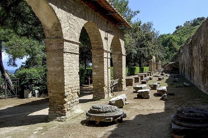 Private Tour from Naples to Phlegrean Fields, Pozzuoli, and Cuma - Private Van Logistics: Where the Comfort and Value Really Come In