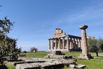 Private Tour from Sorrento/Positano to Paestum and Mozzarella tour - Velia’s ruins and the WWII angle you might miss