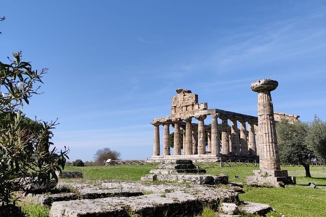 Private Tour from Sorrento/Positano to Paestum and Mozzarella tour - Velia’s ruins and the WWII angle you might miss