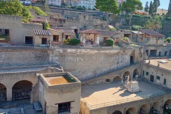 Private Tour in Herculaneum with an authorized guide - Key highlights in plain terms