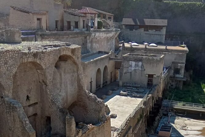 Private Tour in Herculaneum with an authorized guide - Who should book this Herculaneum private tour?