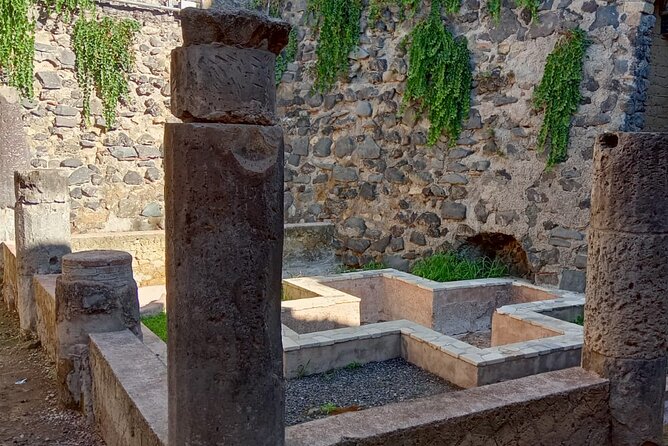 Private Tour in Herculaneum with an authorized guide - Your Ercolano stop: what the 1.5–2 hours really feels like