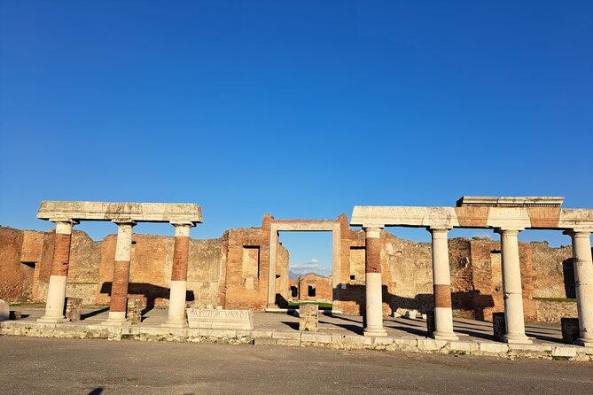Private Tour in Pompeii and Vesuvius - Food, wine, and sampling from volcanic soils