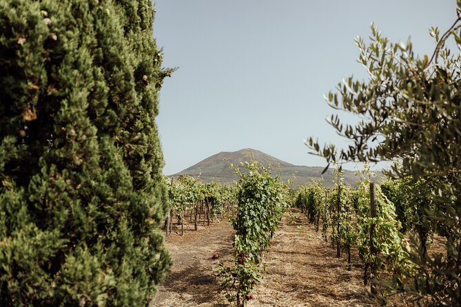 Private Tour in Pompeii and Vesuvius - Price and tickets: where the real numbers add up