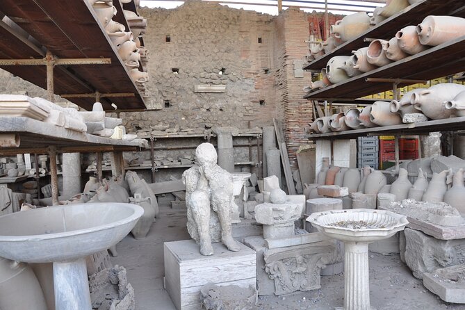 Private Tour of Pompeii, Sorrento and Positano from Naples - Driver Skills and Traffic Reality on the Amalfi Coast