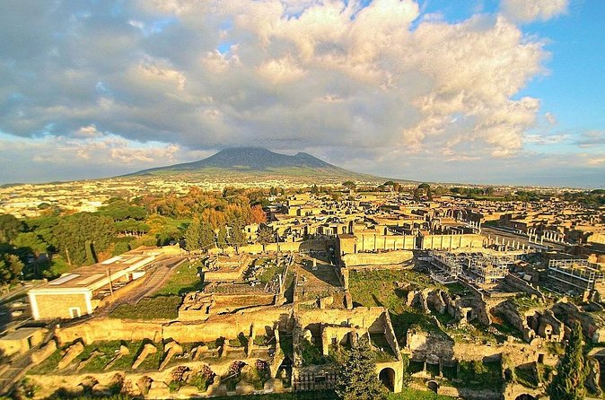 Private Tour of Pompeii with official tour guide and skip the line tickets - Who this tour is best for
