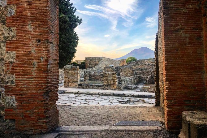 Private Tour of Pompeii with Skip-the-Line Access - Price and value: is $347.26 per person worth it?