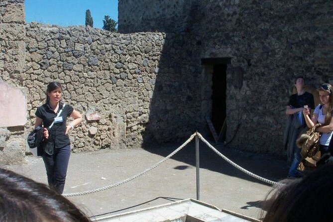 Private tour of the Pompeii excavations - Ticket and price reality check: what $66.72 really buys