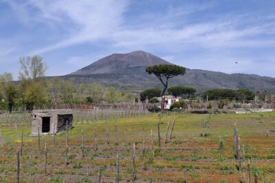 Private Tour Pompeii and Herculaneum - Pompeii: The Roman City Frozen Under Ash
