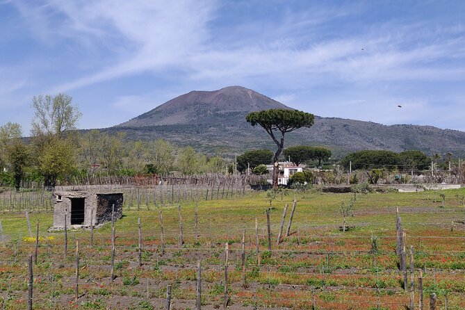 Private Tour Pompeii and Herculaneum - Pompeii: The Roman City Frozen Under Ash