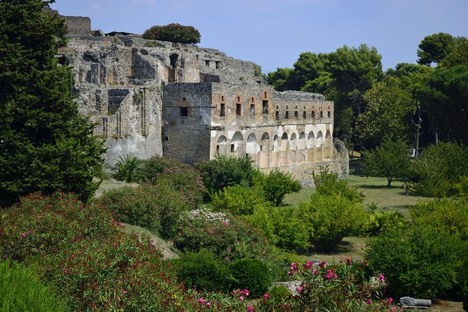 Private Tour: Pompeii Half-Day Trip from Naples - The “frozen” moment: victim casts and what they do to you