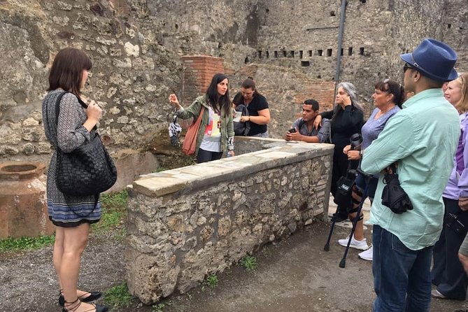 Private Tour: Pompeii & Wine Tasting at the Slopes of Mt Vesuvius - Price and Value: What $564.33 Per Person Buys You