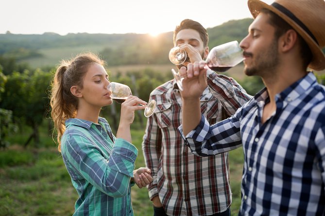 Private Tour: Pompeii & Wine Tasting at the Slopes of Mt Vesuvius - Who This Private Tour Is Best For (and Who Might Skip It)