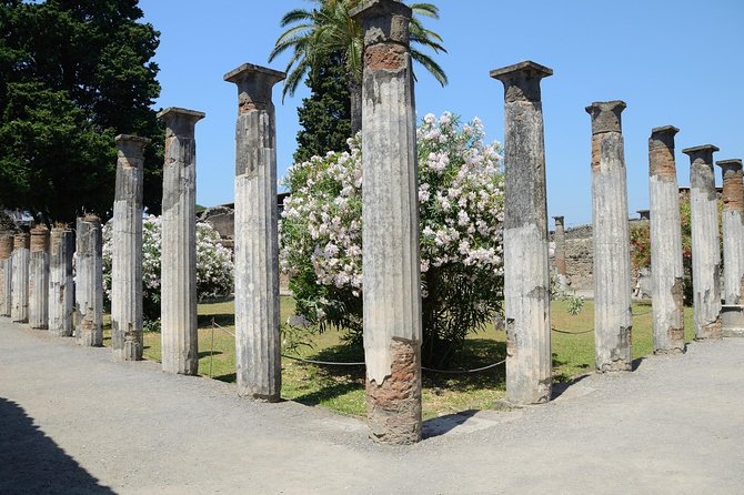 Private Tour Rome to Pompeii in private vehicle or fast train - Casa del Menandro: another house stop, same idea, different viewpoint