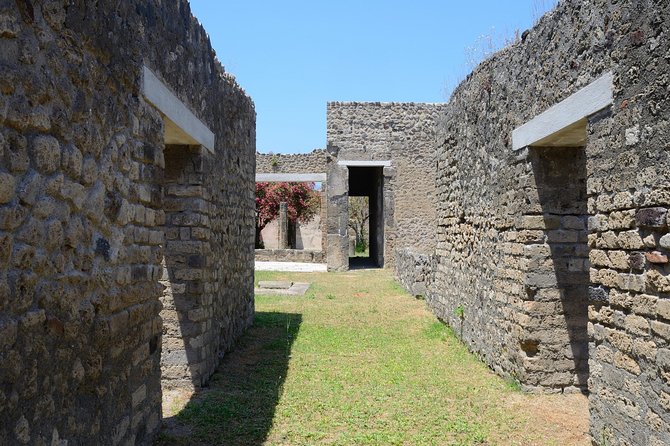 Private Tour Rome to Pompeii in private vehicle or fast train - Price and value: is $684.18 per person a good deal?
