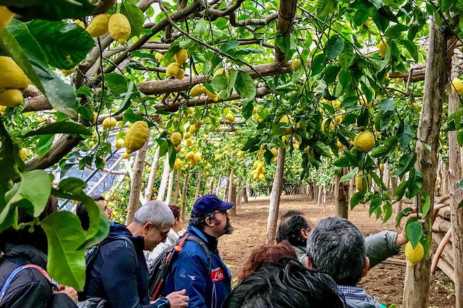 Private Tour: The Path of the Lemons - Key things to know before you go