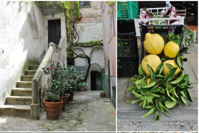Private Tour: The Path of the Lemons - Sentiero dei Limoni: the heart of the walk