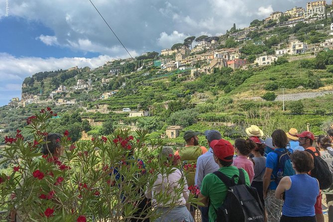 Private Tour: The Path of the Lemons - Your guide experience: AIGAE certification and plant talk that makes sense