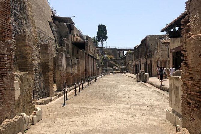 Private Tour to Pompei and Herculaneum: Skip-the-line Tickets - Transport and comfort: private ride perks that matter