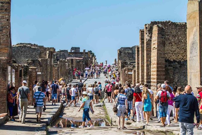 Private tour to Pompeii Herculaneum and Vesuvius - Vesuvius National Park: Tickets, Timing, and the Fog Factor