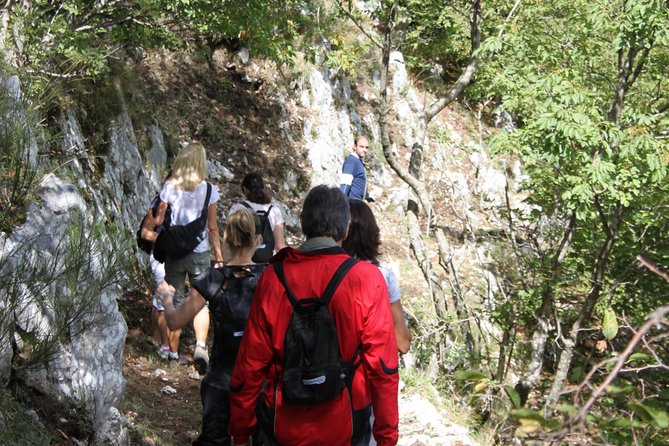 Private Tour: Truffle-Hunting Experience from Naples with Lunch - Meet the Hunter and the Lagotto Romagnolo Dogs