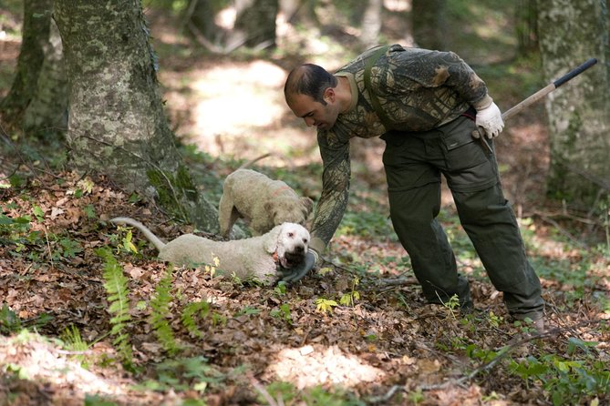 Private Tour: Truffle-Hunting Experience from Naples with Lunch - The Morning Drive: Around Vesuvius, Partenio, and Avellino