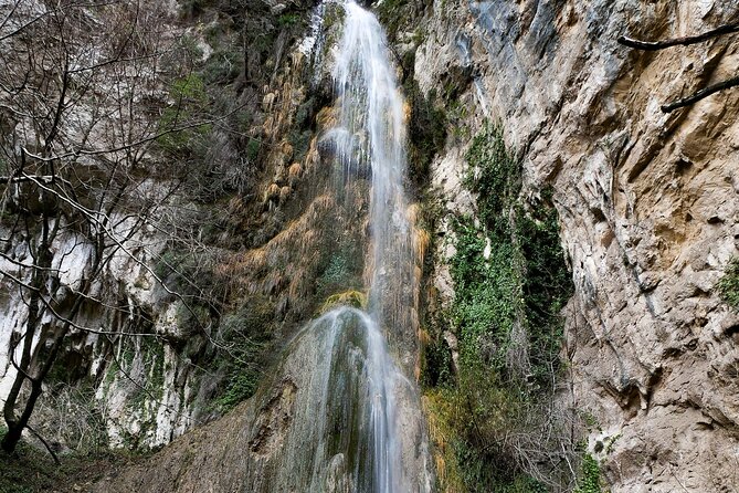 Private Tour Walking in Ferriere Valley Nature Reserve Amalfi - Stop 1: Surviving Plant Colonies in the Nature Reserve