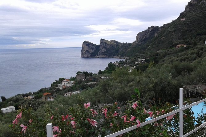 Private Tours | Amalfi coast & Pompeii Ruins - Private Naples Pickup: the easiest way to string Pompeii and the Amalfi Coast