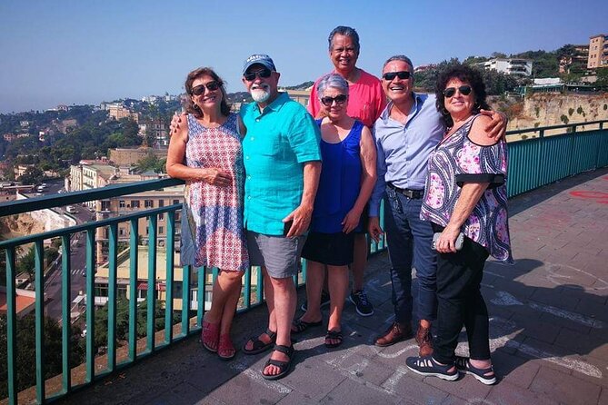 Private Transfer from Naples to Pompeii or vice versa. - Who Should Book This Private Transfer?